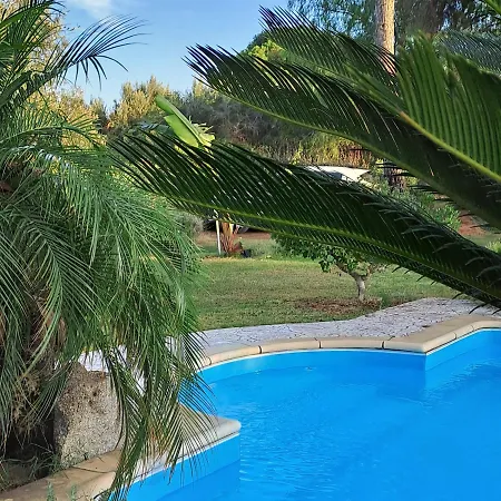 Romina Villa *